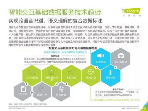 中國人工智能基礎數據服務行業報告 數據處理服務的核心價值與演進趨勢